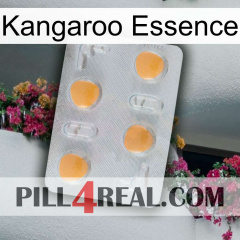 Kangaroo Essence 24